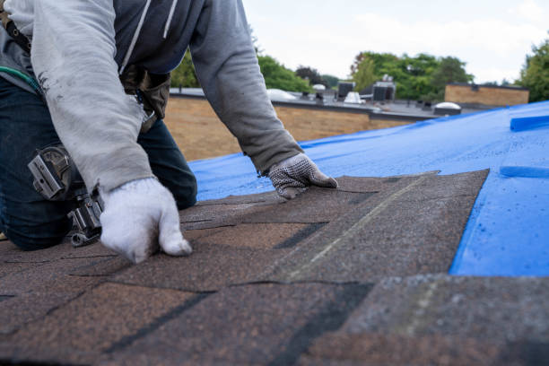 Best Roof Gutter Cleaning  in New Roads, LA